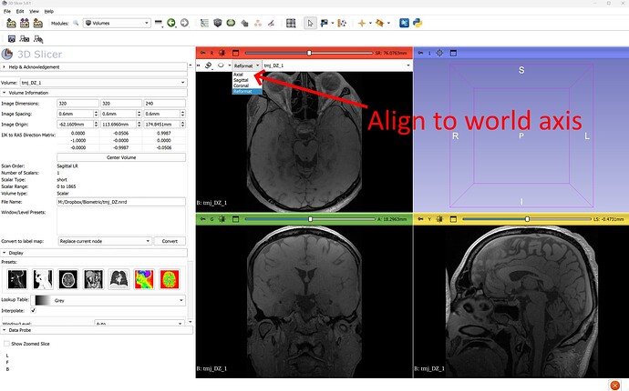 Screenshot 2025-10-10 09.05.07