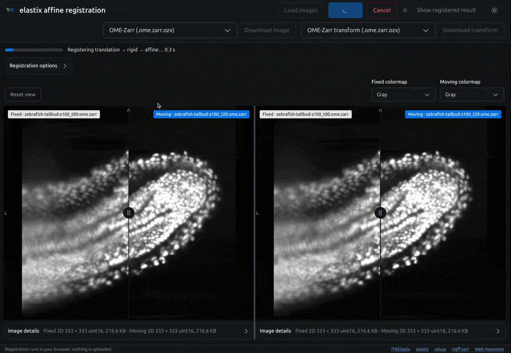 2d zebrafish demo